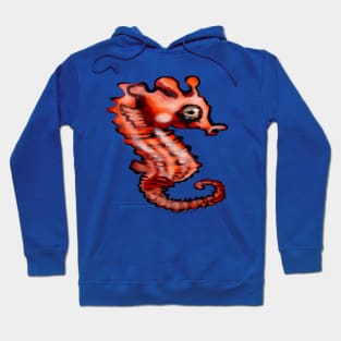 Baby Sea Horse Hoodie